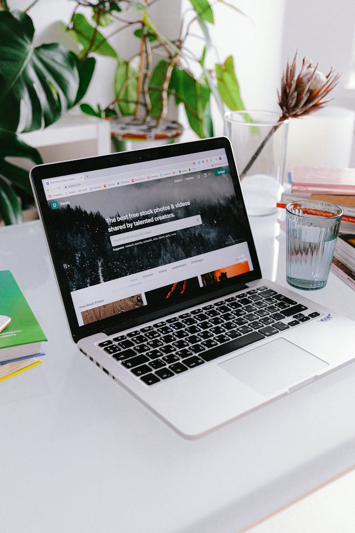 A stylish home office setup featuring a laptop on a desk surrounded by plants, capturing a calm work-from-home vibe.